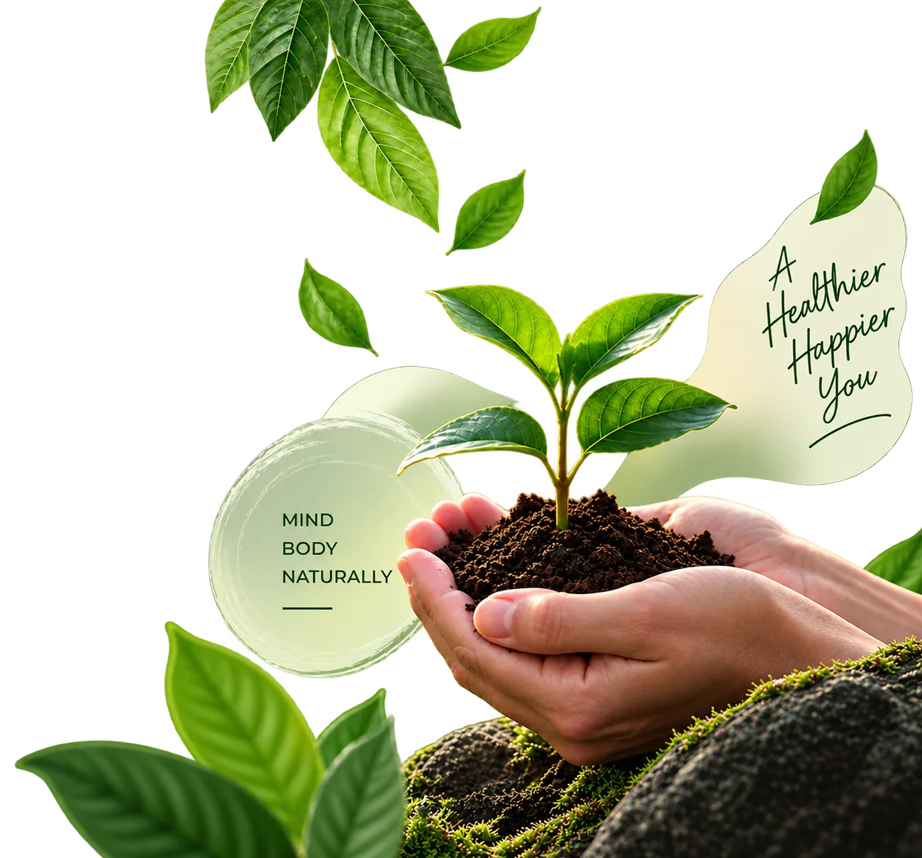 Hands holding a young plant in soil, with the words Mind, Body, Naturally
